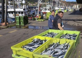 Así ha sido la primera bocartada de la temporada en Gijón