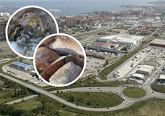 El ritual esotérico hallado en el Centro de Transportes de Gijón.