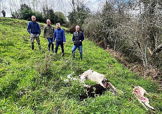 El diputado Luis Venta y el ganadero Pedro Llera junto a los animales