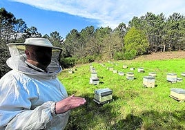 Boal tiene nombre de miel de brezo y castaño en trobos