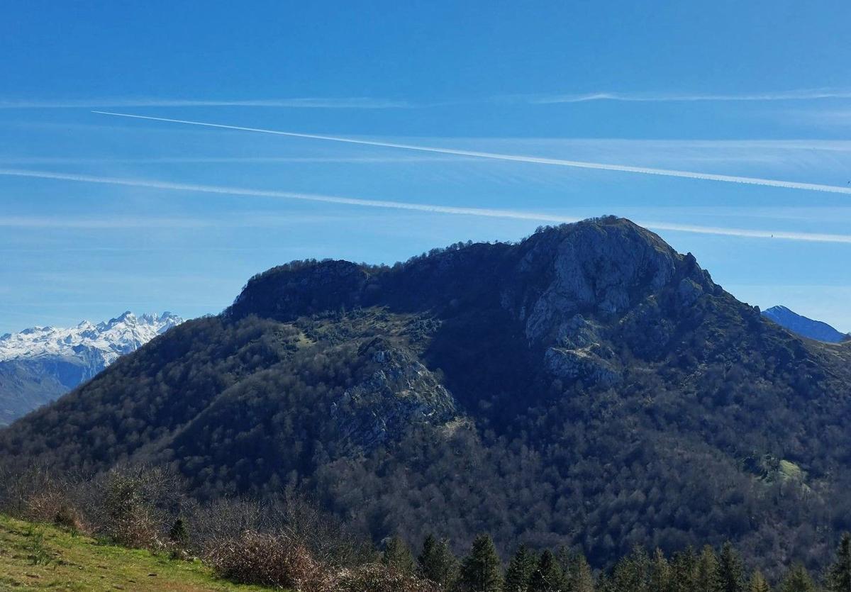 Imagen principal - Mota de Cetín, con los Picos de Europa al fondo y el Pierzu asomando por la derecha/ Mirador al Sueve/ Bosque de Cea