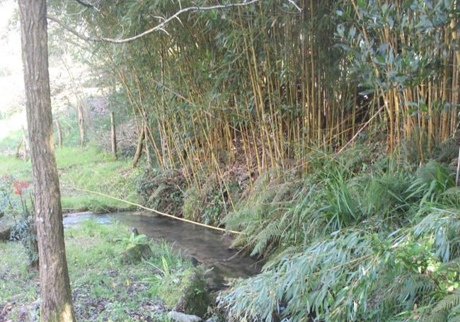 Canal de derivación de la villa de los Molinos.
