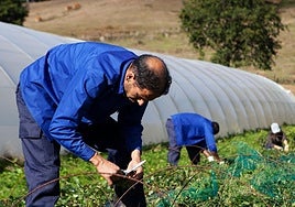 Proyecto de Cáritas apoyado por EDP Energía Solidaria en una de sus diez ediciones