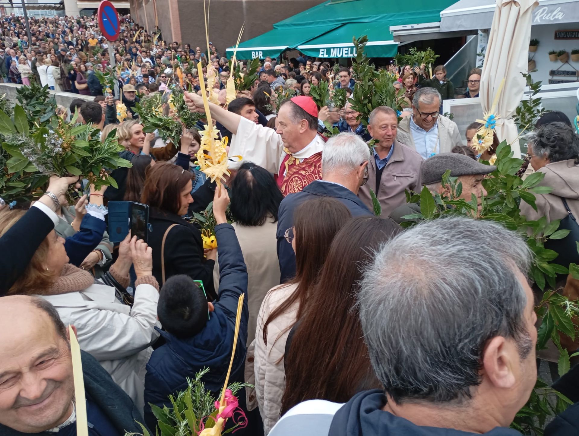 La Semana Santa arranca en Asturias entre una multitud de palmas