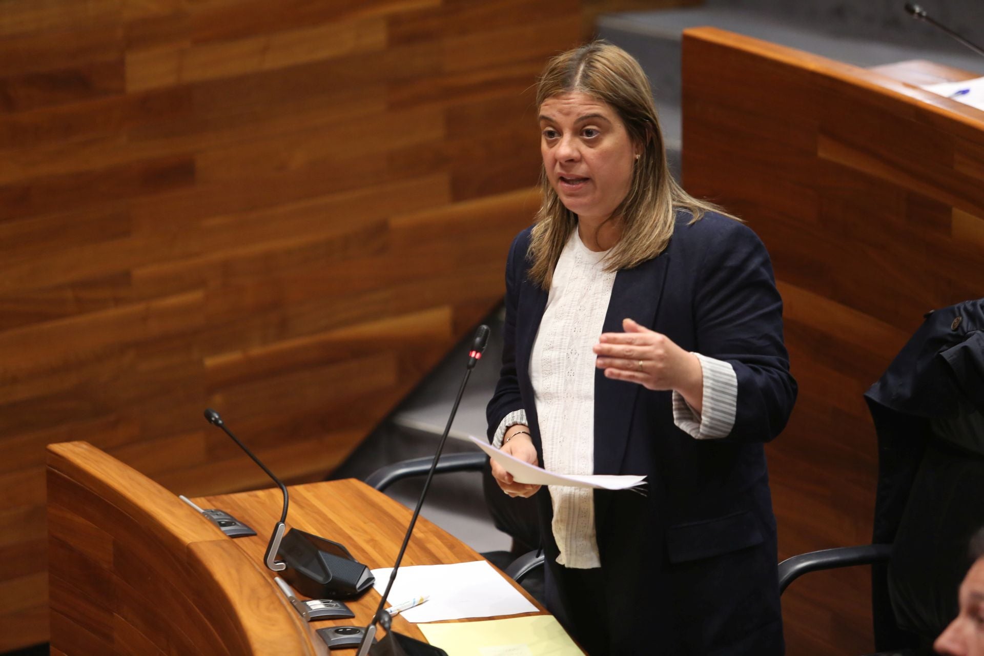 Las imágenes del Pleno que acabó con la dimisión de Belarmina Díaz