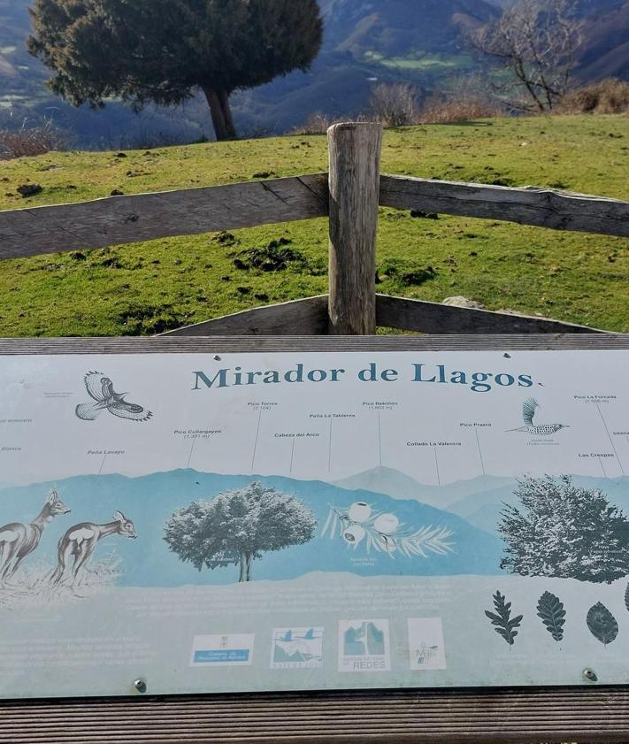 Imagen secundaria 2 - Collada el Arcu, Ricau con vistas a Xamoca y panel sobre la flora y la fauna en el Mirador de Llagos. 