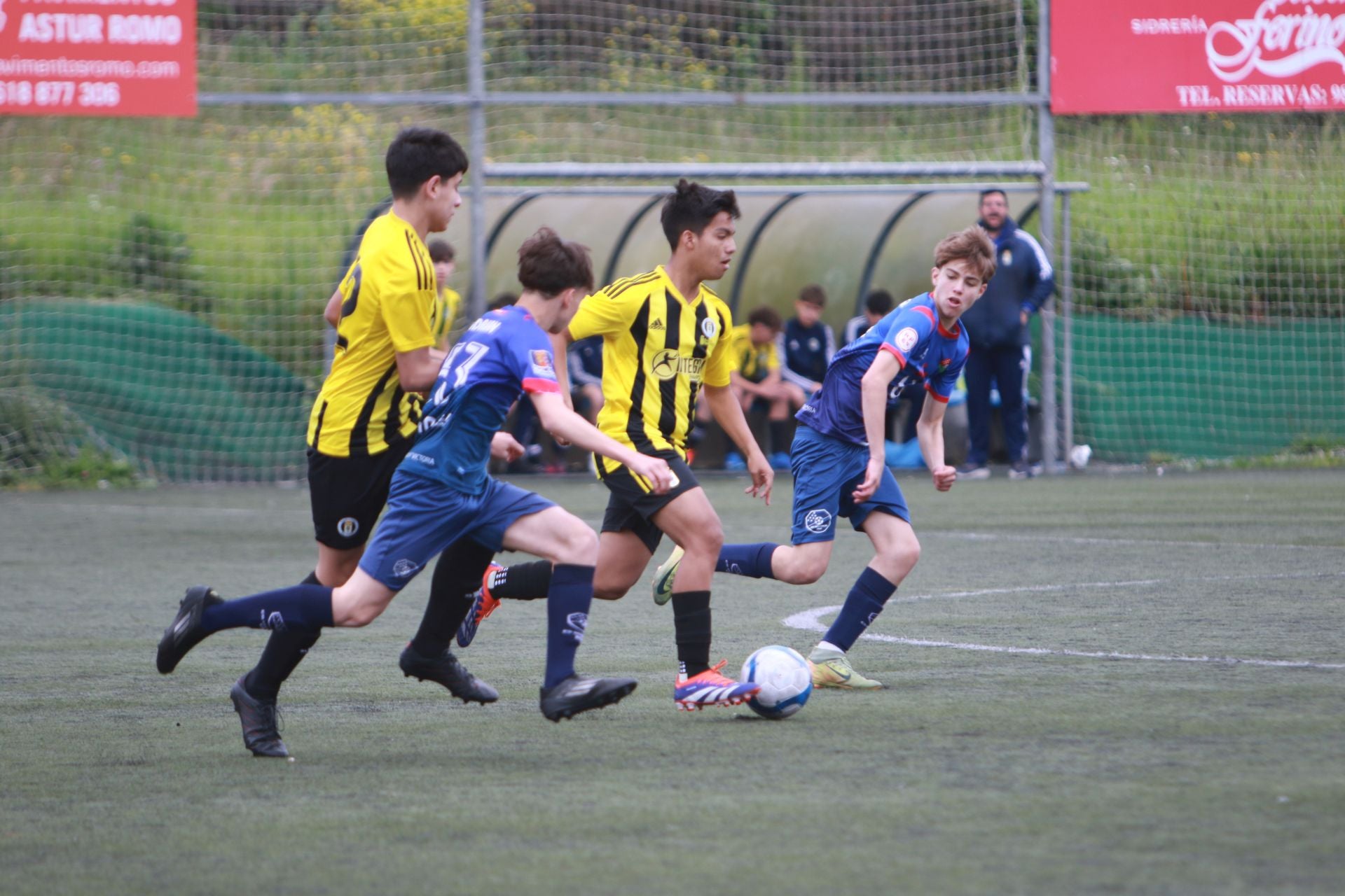 Las mejores imágenes de la Oviedo Cup 2025