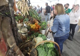 La exposición de productos en la Feria de San Isidro el año pasado.