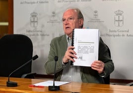 José Agustín Cuervas-Mons, este miércoles, en la Junta General.