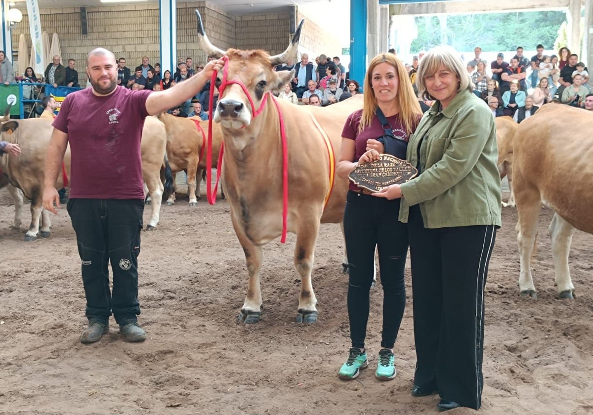 Estos son los ganadores del Concurso Raza Asturiana de los Valles celebrado en Cangas del Narcea