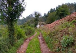 El actual estado del camino de Valdemaría, en la parroquia de Fuentes, Villaviciosa