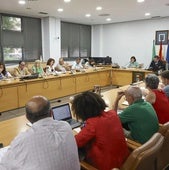Los concejales que forman parte del Pleno municipal de Castrillón.