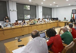 Los concejales que forman parte del Pleno municipal de Castrillón.