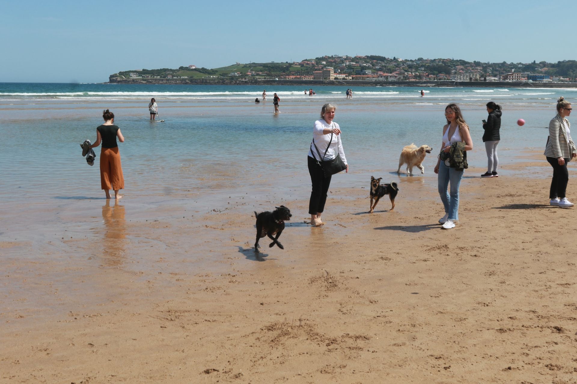 Fotos: Último día de perros en la arena en la playa de San Lorenzo