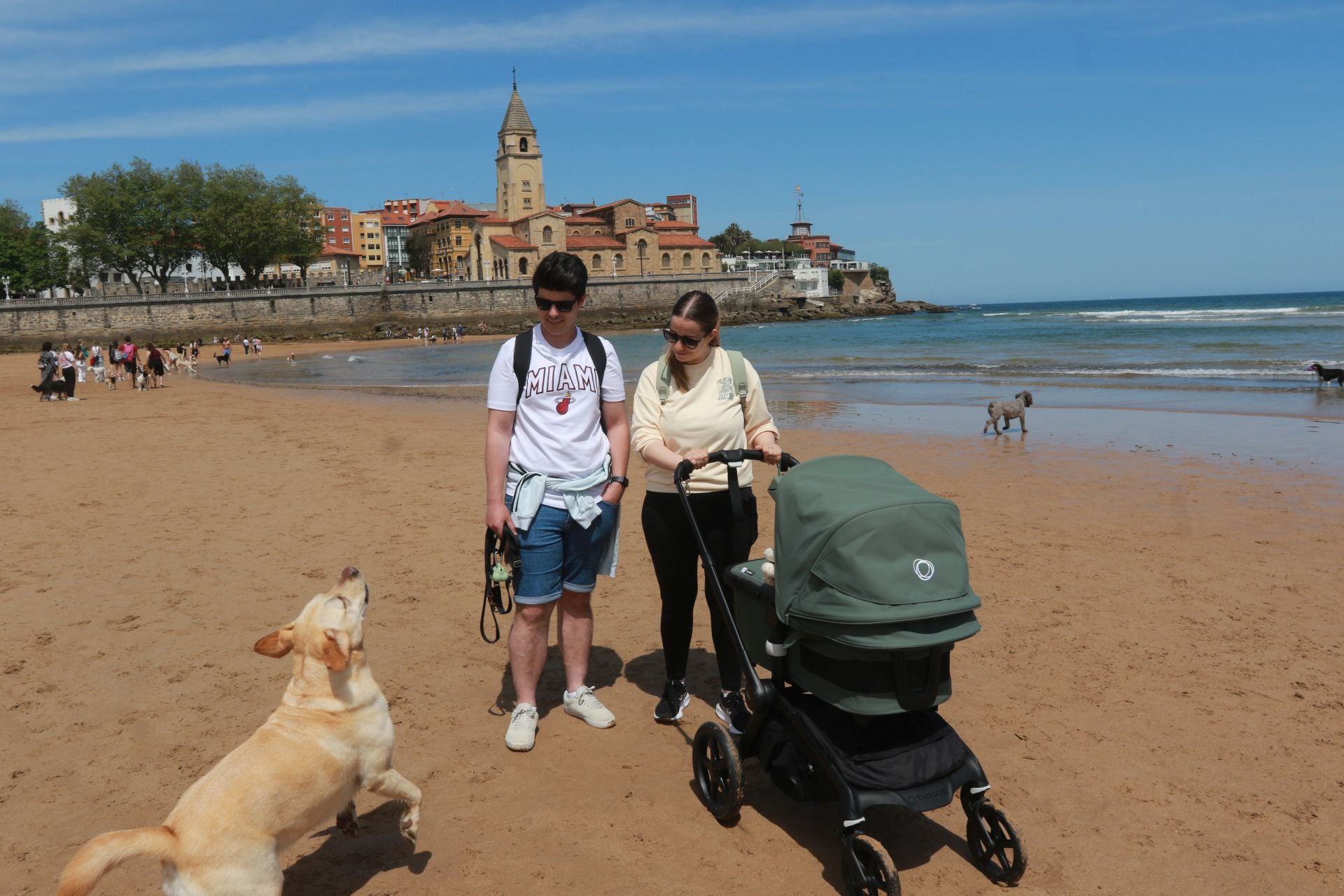 Fotos: Último día de perros en la arena en la playa de San Lorenzo