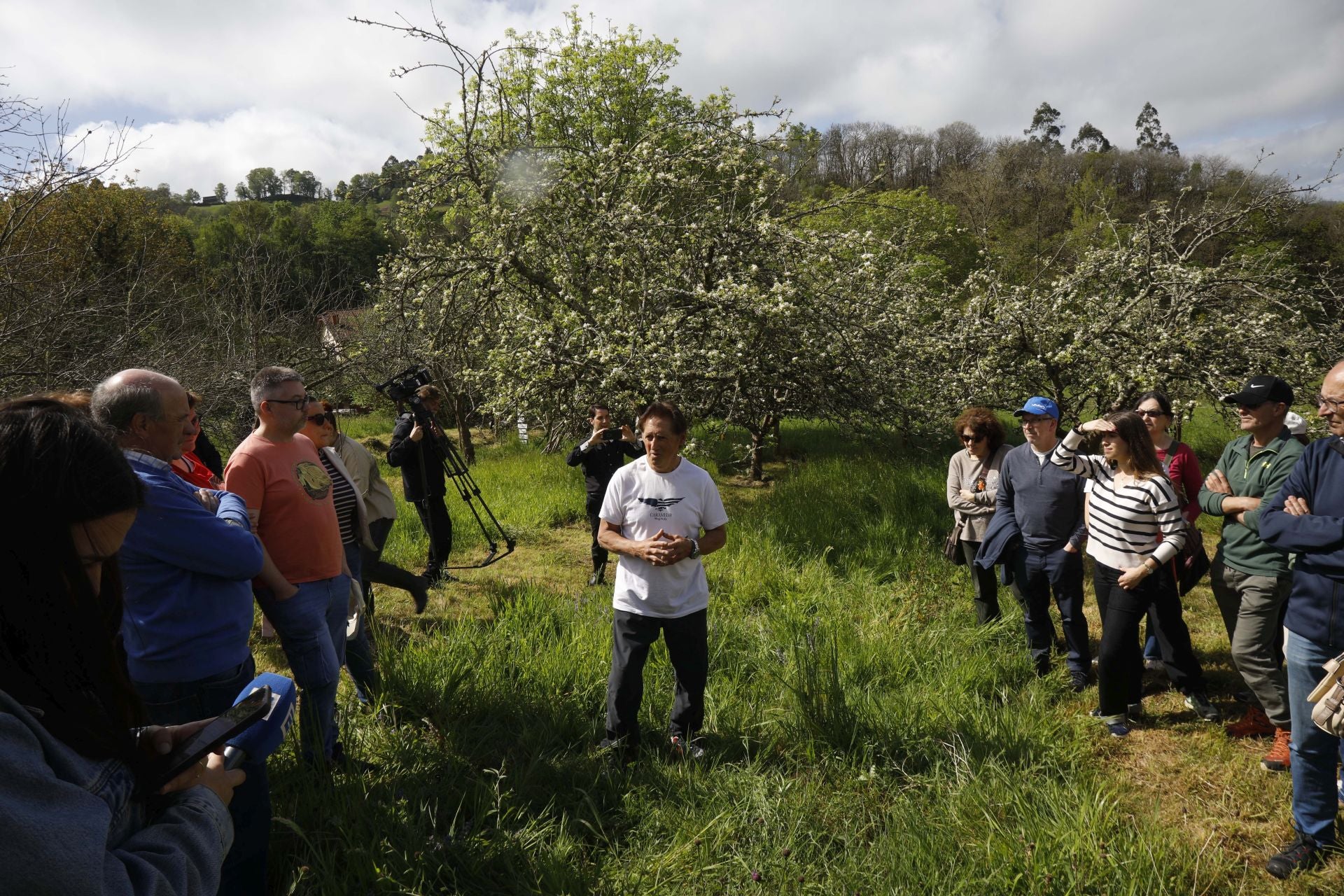 Visita guiada para conocer de cerca la floración de los manzanos en Sariego