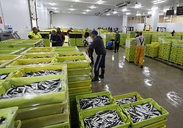 Cajas de bocartes, este viernes, en la rula de Gijón.