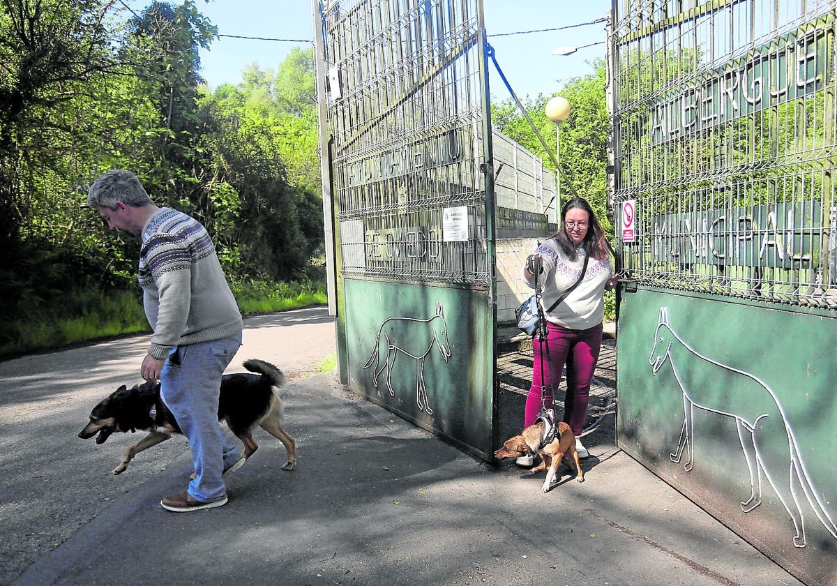El Albergue de Animales de Oviedo formaliza 72 adopciones en lo que va de año y busca voluntarios formados