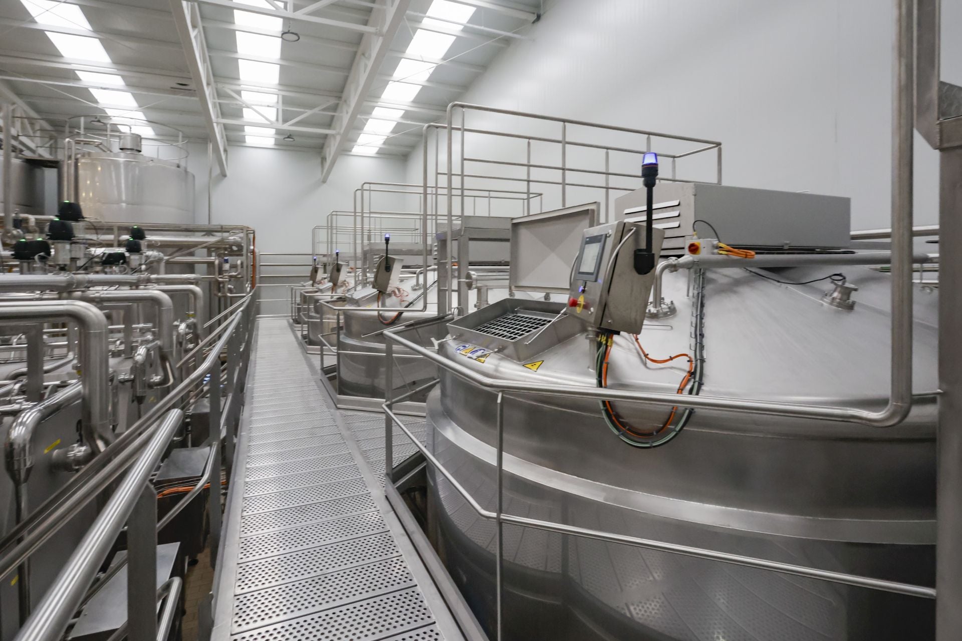 El sector lácteo de Asturias se rearma con una nueva planta para fabricar mozzarella