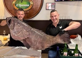Javier González Toral (dcha), con Héctor (canal Pesca Spinning), sujetando el mero de 55 kilos en la sidrería El Llavianu, sita en la plaza de La Habana, en el barrio gijonés de Moreda.