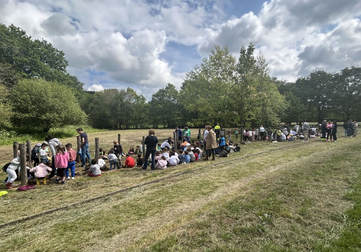 El legado de los escolares de Infantil de Pola de Siero: plantan abedules en el parque periurbano