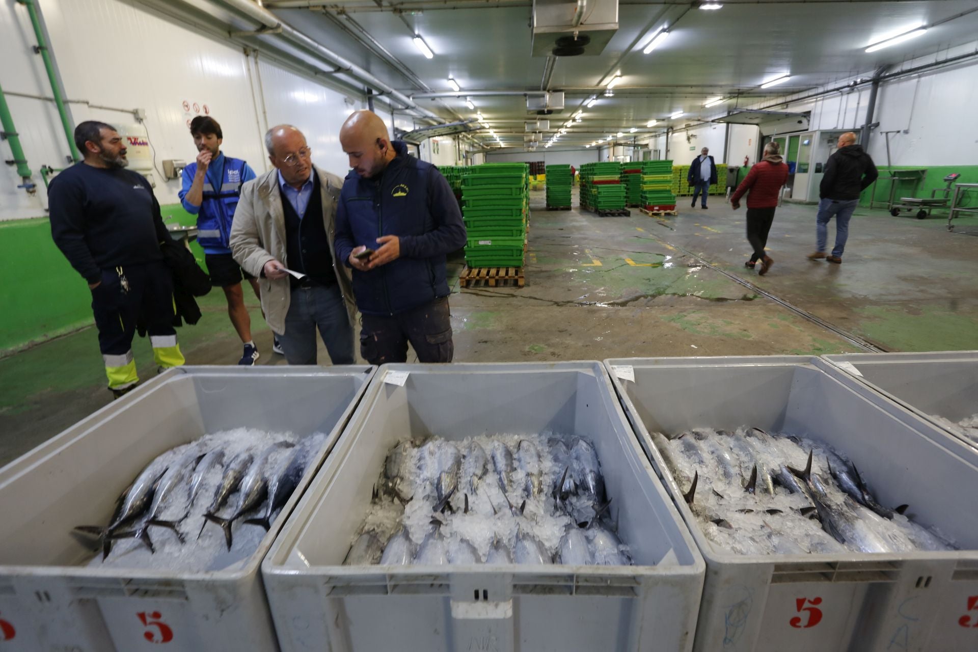 La subasta del primer bonito en Avilés, en imágenes