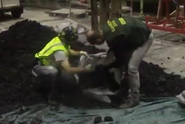 Agentes abriendo la saca de carbón vegetal que importó Mirantes.