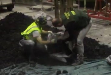 El dueño de la mina de Cerredo se sienta en el banquillo acusado de traficar con coca