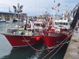 Descarga de la tercera bocartada de la temporada, este jueves, en el Puerto de Gijón.