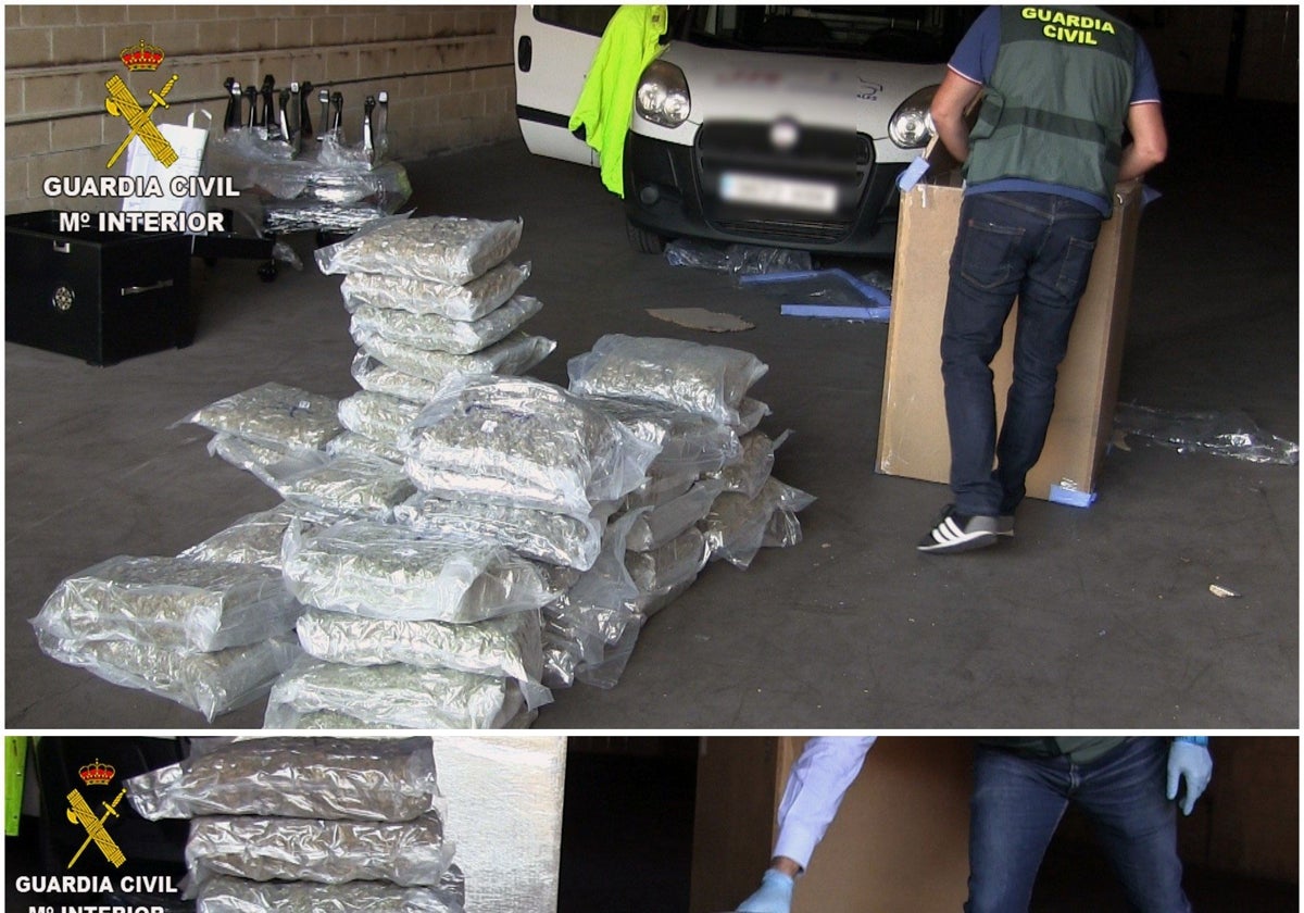 Parte de la marihuana decomisada por la Guardia Civil de Gijón.