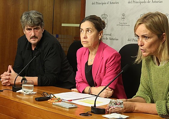 Covadonga Tomé, durante la votación en urna para elegir la presidencia de la comisión.