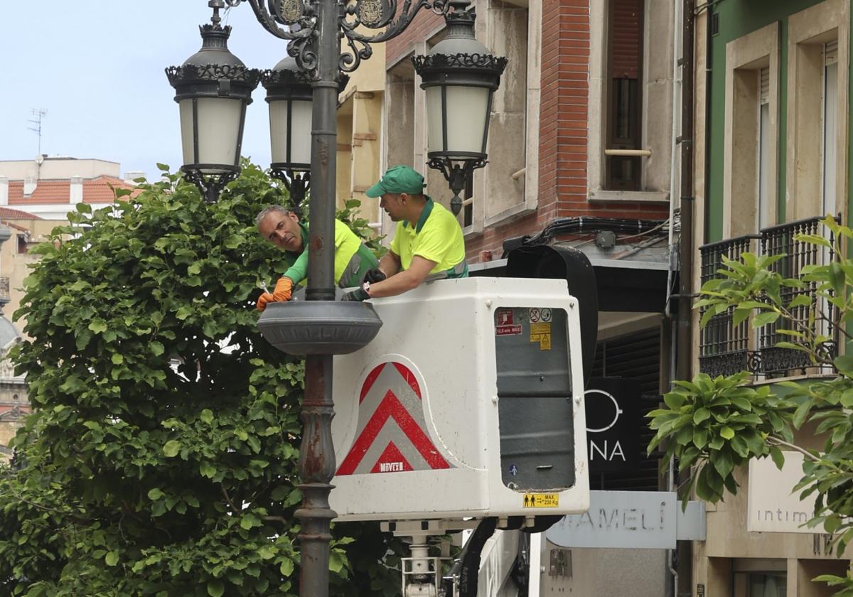 Avilés quiere cambiar 7.500 farolas para reducir un 60% el consumo energético