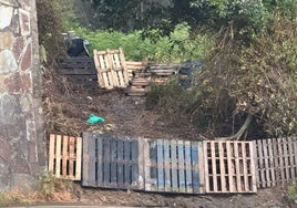 Estado actual de la colonia de gatos de Quintueles.