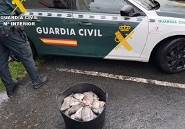 Los peces incautados por la Guardia Civil.
