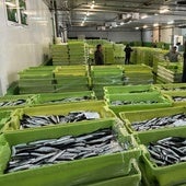 Bocarte preparado para la venta la pasada semana en la lonja de Avilés.