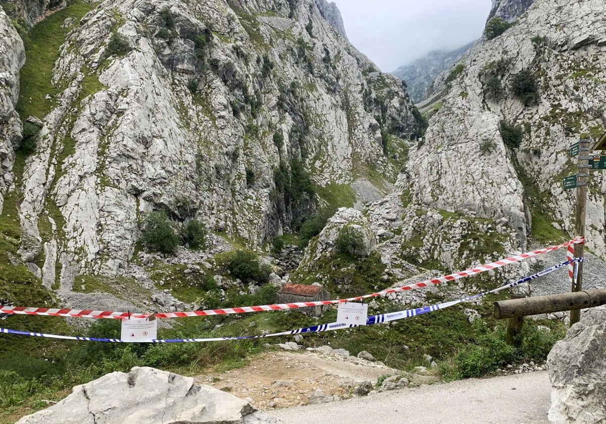 Bulnes lamenta quedarse «aislado»