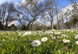 Asturias celebra la primavera