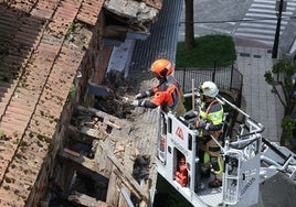Los Bomberos con la autoescala rescatan un nido de pájaros tras el derrumbe en La Malatería.