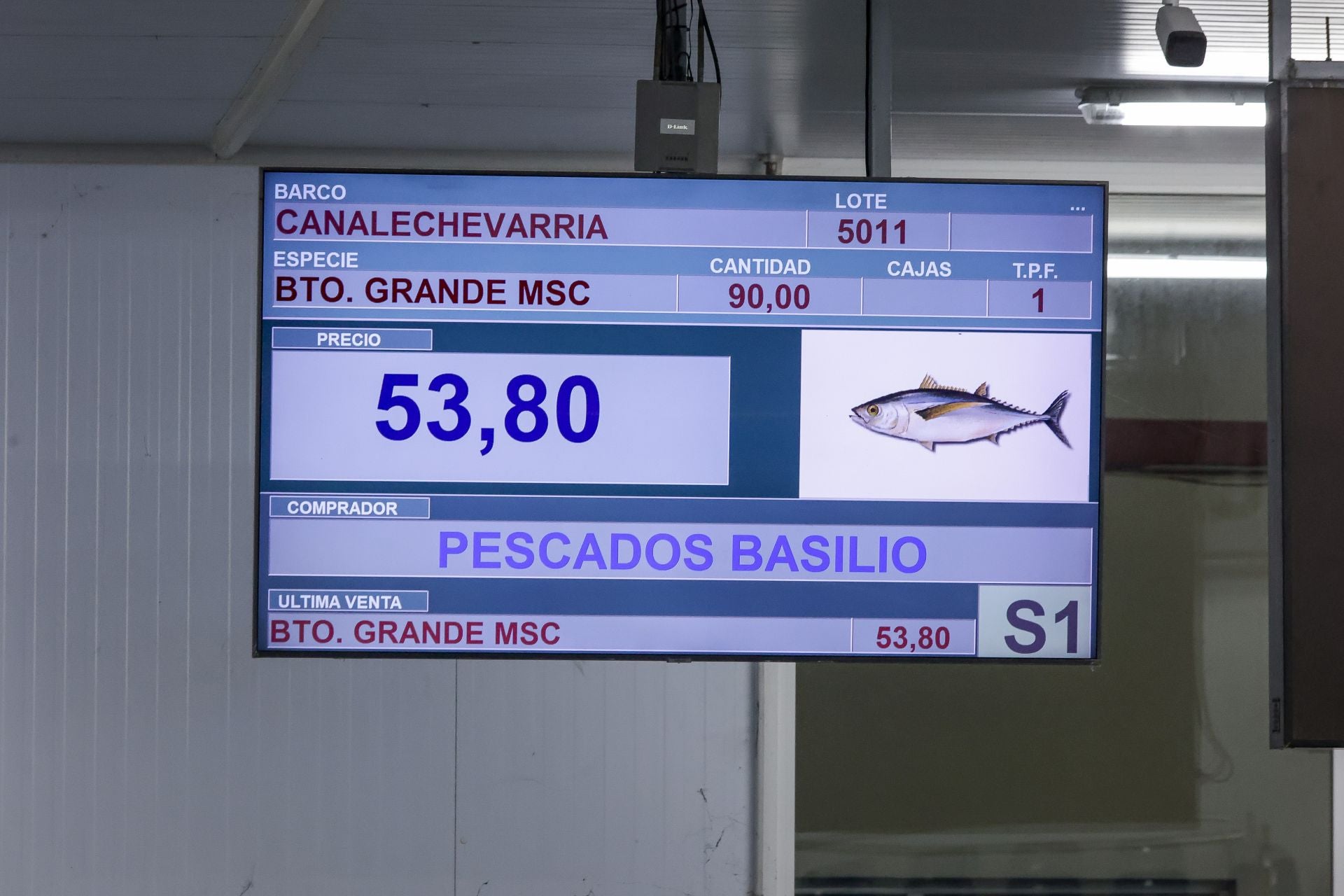 El primer bonito de Gijón, a 53,80 euros el kilo