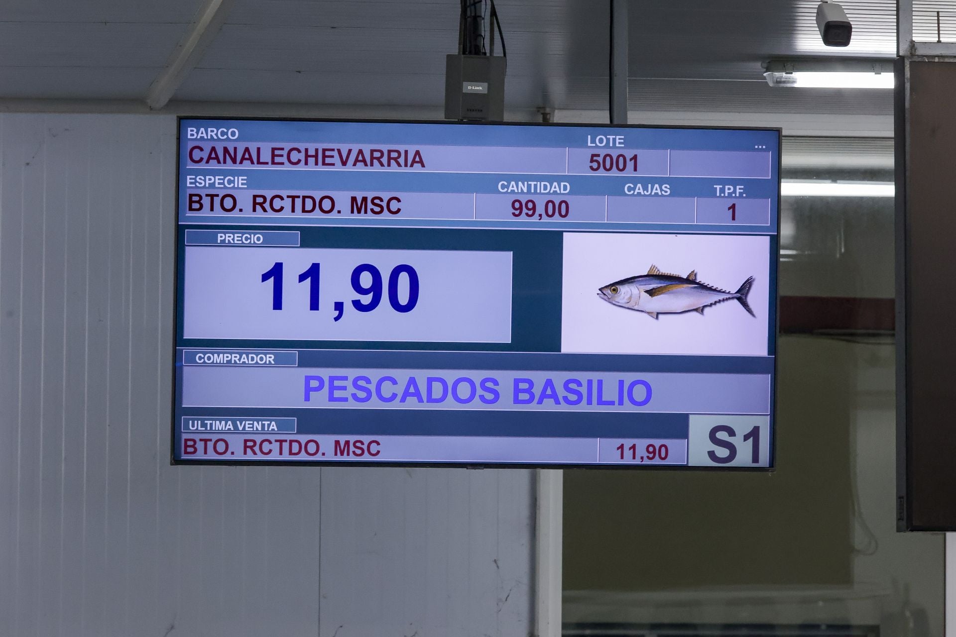 El primer bonito de Gijón, a 53,80 euros el kilo