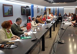 La consejera, en una reunión con los representantes sindicales, el pasado año.