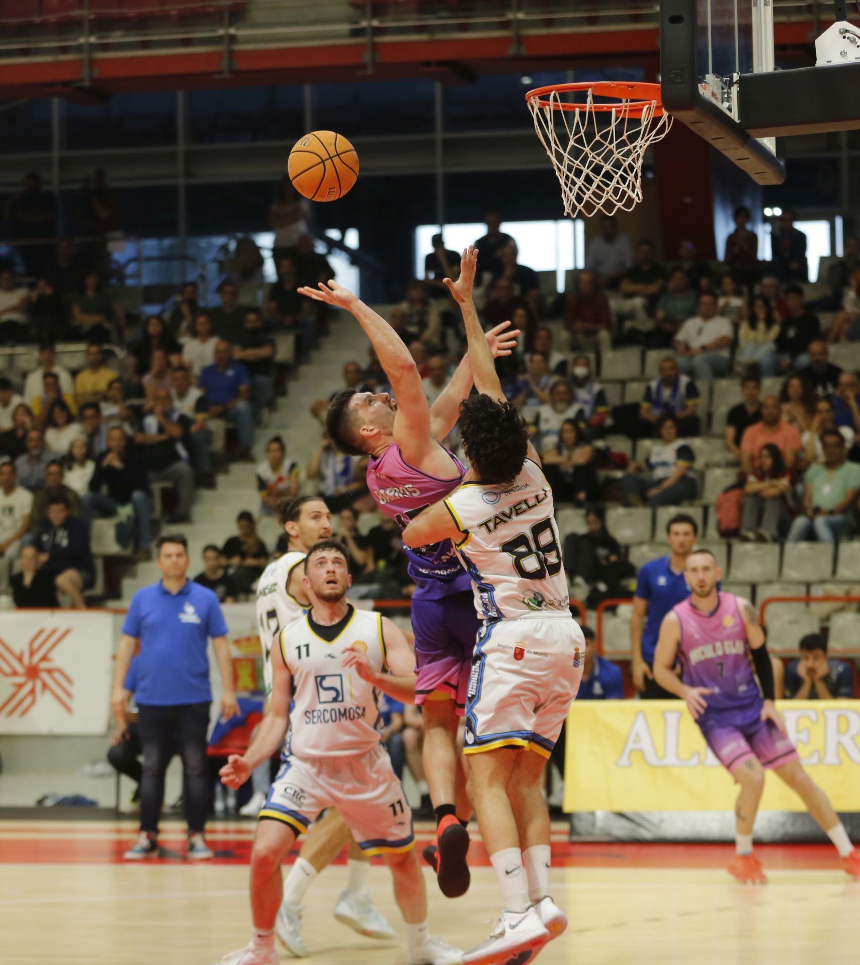 Las mejores imágenes del Círculo Gijón Noega Baloncesto - Sercomosa Molina Basket