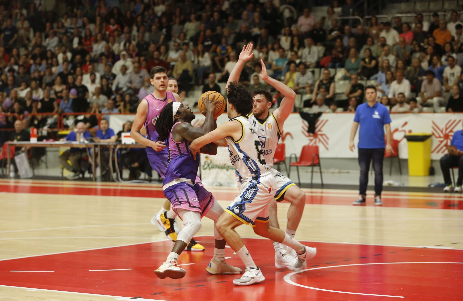Las mejores imágenes del Círculo Gijón Noega Baloncesto - Sercomosa Molina Basket