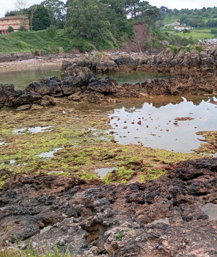 Imagen secundaria 2 - Playas de Carranques, Cura y Güelgues.