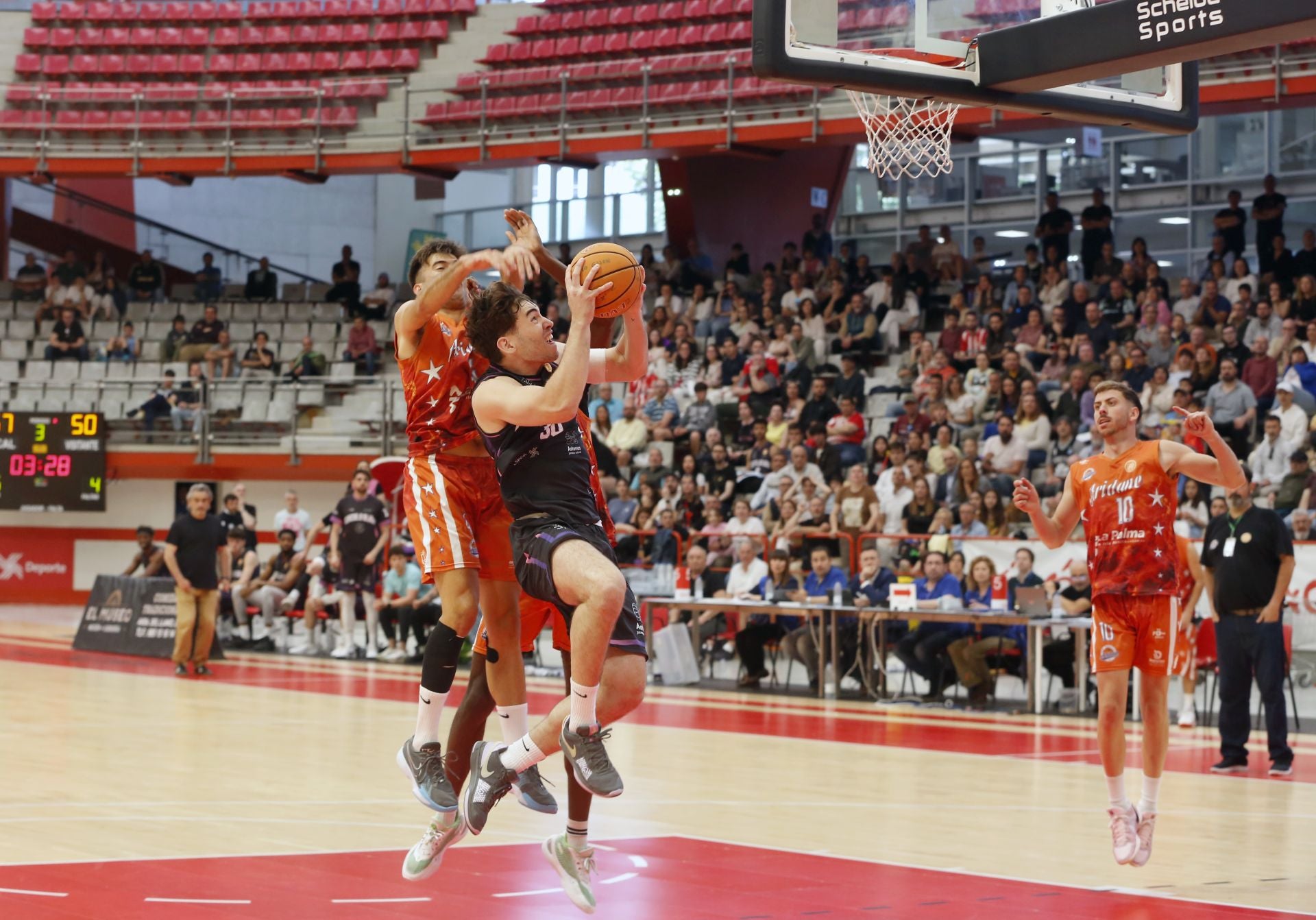 Histórico ascenso del Círculo Gijón Baloncesto: las fotos de una brillante conquista
