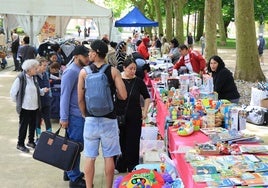 En el marco del Festival Afrilás se organizó un mercadillo solidario en el parque avilesino del Muelle.