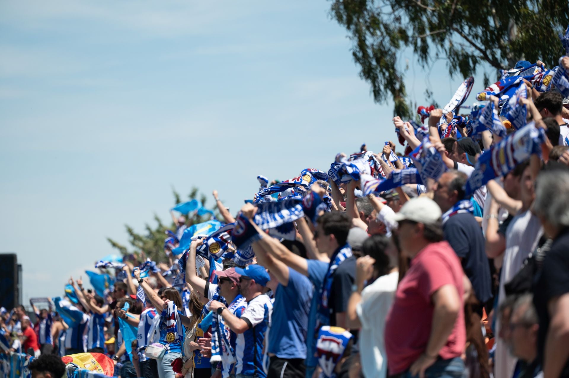 Las mejores fotos del Rayo Majadahonda - Real Avilés