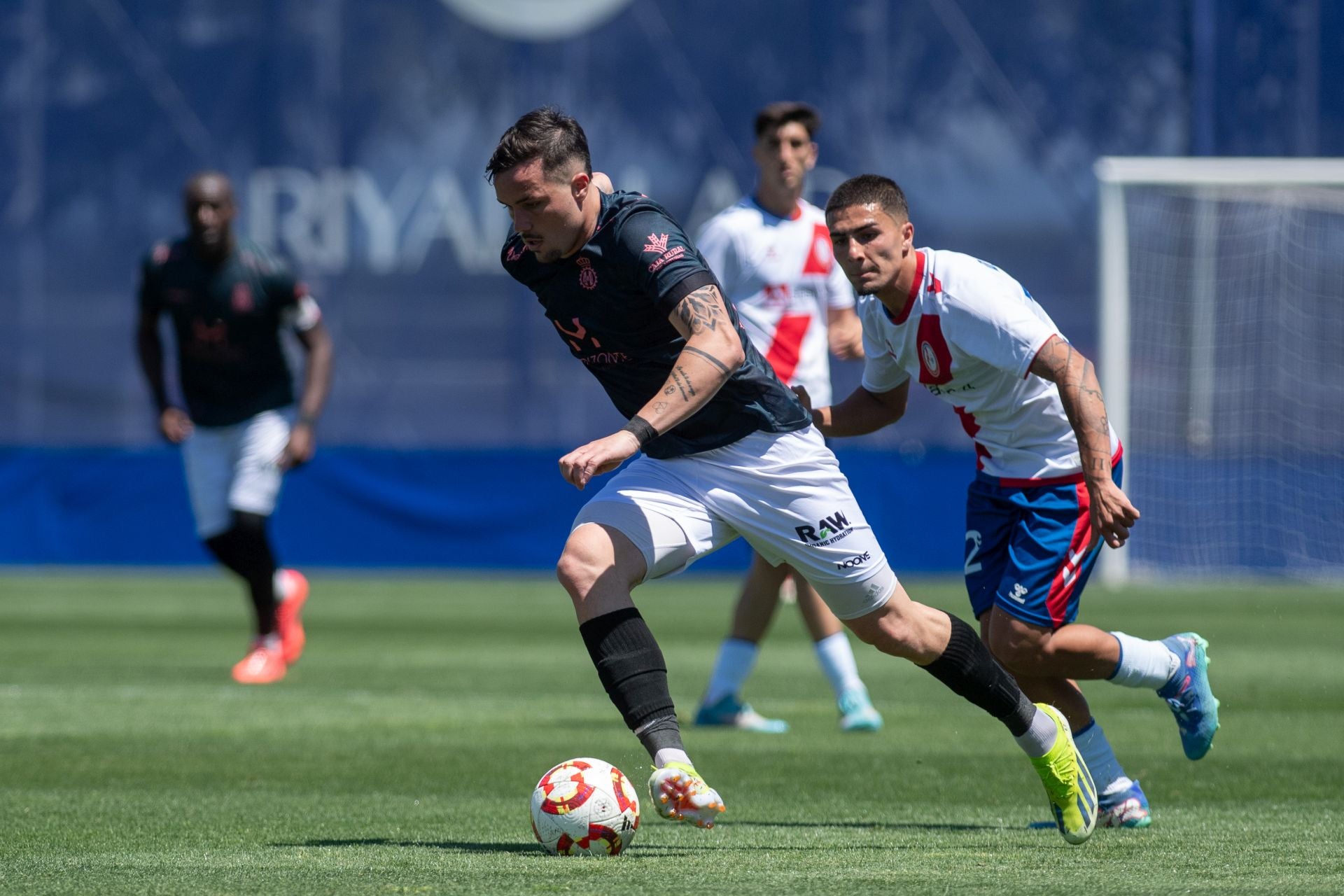 Las mejores fotos del Rayo Majadahonda - Real Avilés