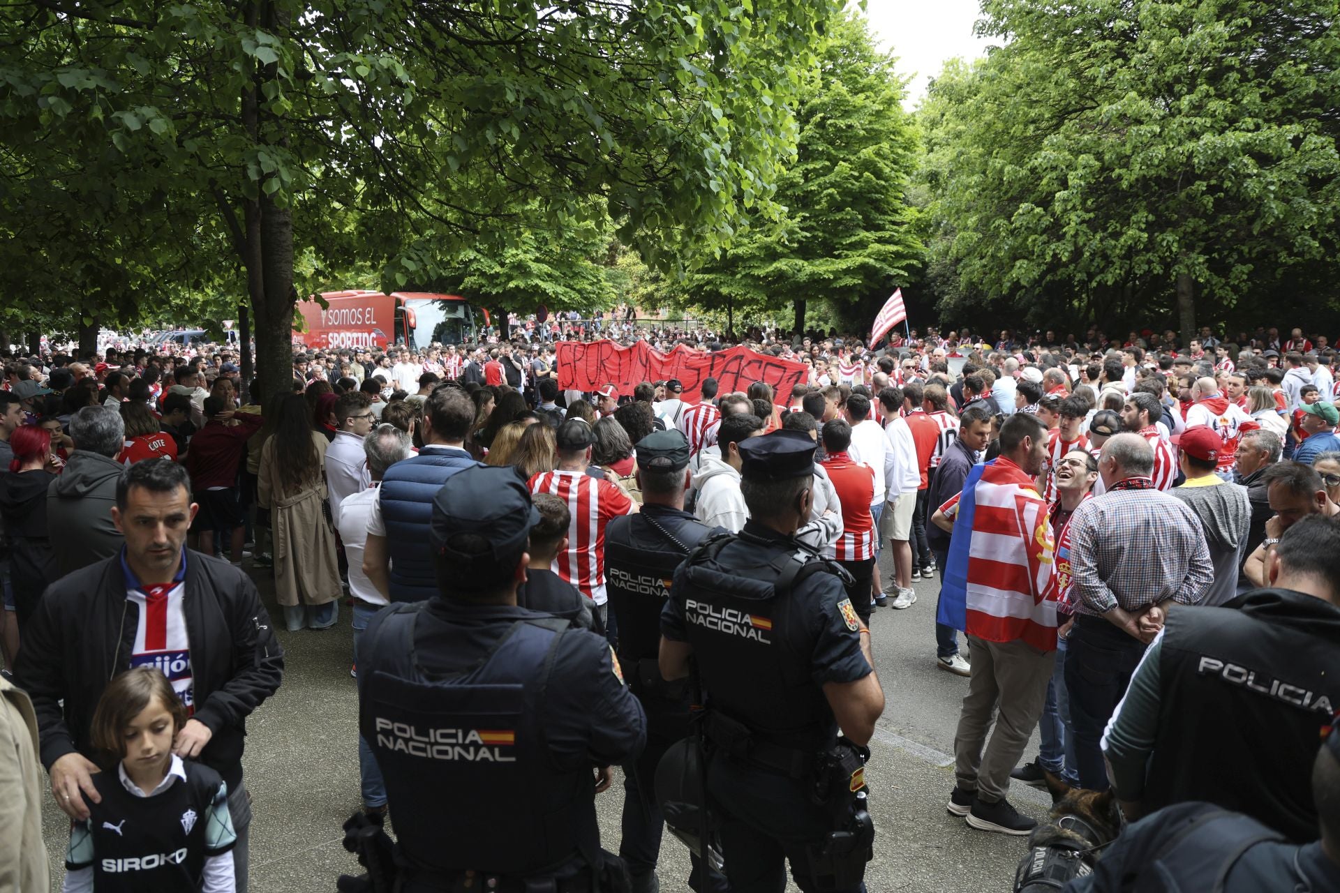 Sporting de Gijón - Cartagena: despedida a la temporada y a un inolvidable Cote, en imágenes