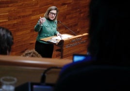 Lydia Espina, este martes, en la Junta General.